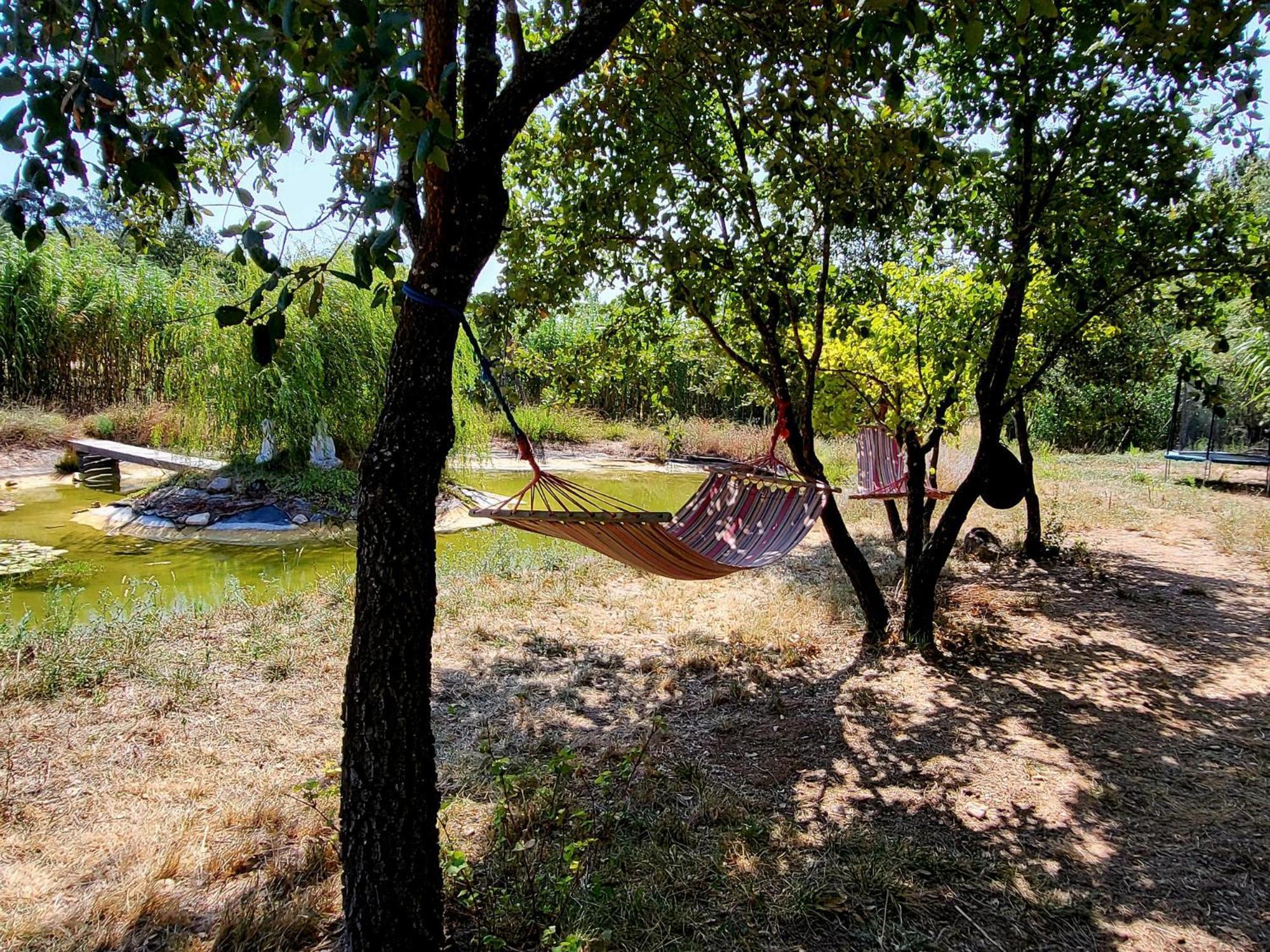 Hotel Quinta Da Choupana Tomar Esterno foto